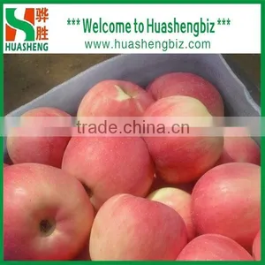 China 9kg-20kg Carton Fresh Fuji Apple thumbnail-1