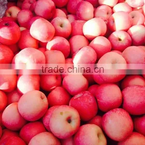 Red Fuji Apple thumbnail-2