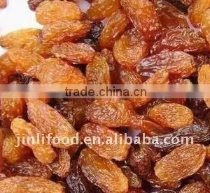 Sultana Raisins Dry 2015 New Erop the Latest Prices thumbnail-2