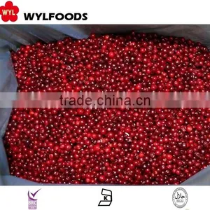 IQF China Price for Frozen Linggonberry Hot Sales thumbnail-4