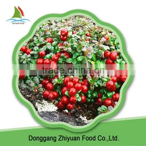 Frozen Style 2016 New Crop Wild Lingonberry thumbnail-4