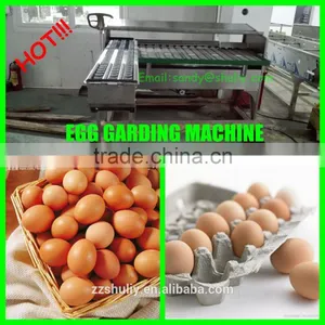 Low Price Egg Grading Machine thumbnail-2