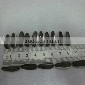 Sunflower Seeds5009 New Crop thumbnail-1