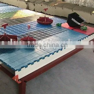 Farrowing Plastic Fflooring thumbnail-1