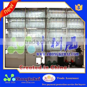 Intensive Culture of Zebrafish,Zebrafish Feeding Sysytem thumbnail-1