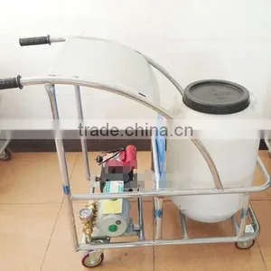 Electric Sprayer / Water Blaster thumbnail-1