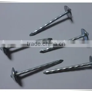 1"*11G Galvanized Umbrella Head Plain and Ring Shank Roofing Nail (factory) thumbnail-2