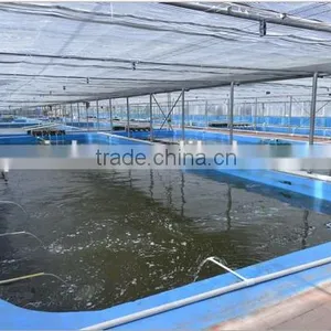 8MM Utra Clear Glass Greenhouse,Safety Greenhouse Glass thumbnail-2