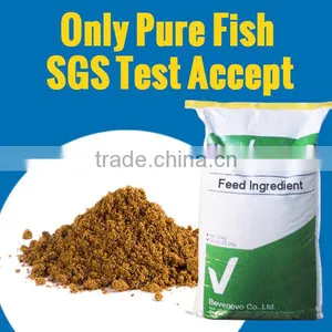Fish Meal Powder 65 Protein For Animal Feed thumbnail-1