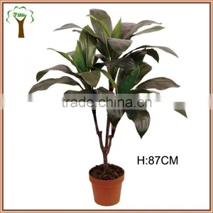 Indoor Mini Artificial Dracaena Plant With Wide Leaves for Room Decor thumbnail-1