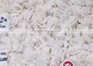Squid Rings thumbnail-2