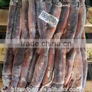 New Food Price of Illex Squid thumbnail-1