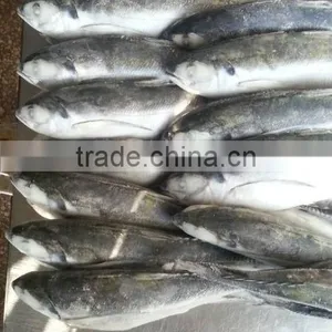 Bagoong Jack Mackerel thumbnail-2