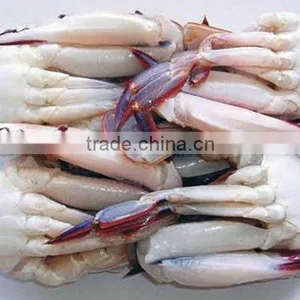 Quality Fresh Alaskan King Crab thumbnail-1