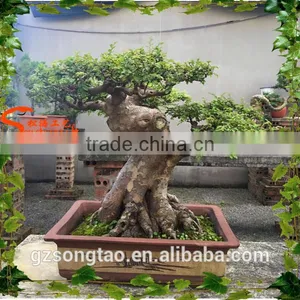 Artificial Plastic Banyan Tree 5-6ft High Fake Curved Trunk for Garden Decoration thumbnail-1