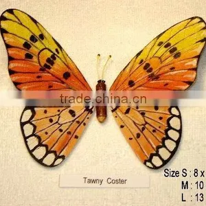 Realistic Handmade Handpainted Butterflies Collectibles (made of Rubber Leafs) thumbnail-1