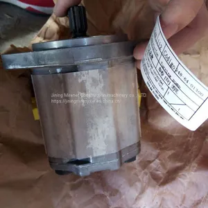Shantui Road Roller SR16 Steering Pump Assy 248-64-01300 Shantui SR16 Pump Assy thumbnail-2