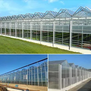 Commercial Glass Greenhouse With Clear PC Sheet Roof thumbnail-5