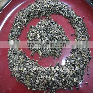Chinese Organic Buckwheat thumbnail-1