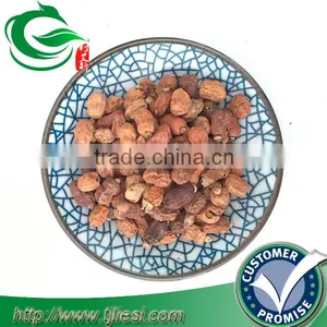 Cardamom /cardamom Pods /cardamom Pods /curcumin thumbnail-2