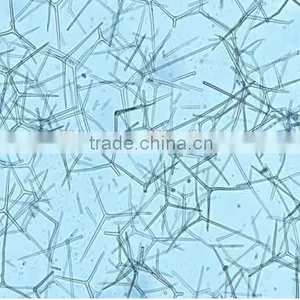 High Quality Zoology Slides ,high Quality Animal Slides thumbnail-5