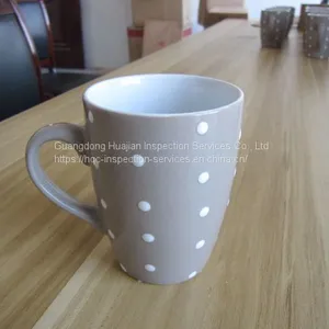 Mug Professional Inspection on Site Inspection thumbnail-4