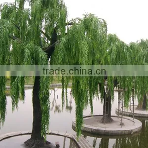 the Evergreen Leaves Artificial Trees Artificial Weeping Willow Trees thumbnail-2