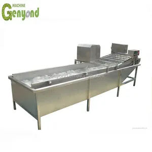 Shanghai Full Industrial Orange Apple Washing and Sorting Machines thumbnail-3