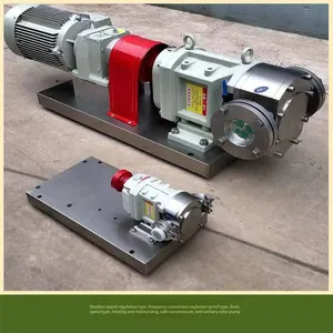 Cam Rotor Pump Lq3a Resin Syrup Pump for Transporting Viscous Liquids, High-viscosity and High-concentration Colloidal Particles thumbnail-1