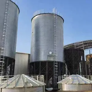 500T Hopper Bottom Grain Silo for Corn Wheat Rice Soybean Paddy Grain Storage System thumbnail-5