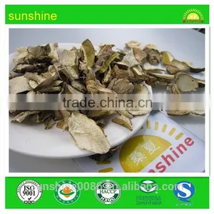 White Dried Bolete Mushroom Market Prices For Mushroom From Forest thumbnail-1