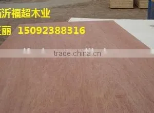 Face Veneer for Plywood thumbnail-1