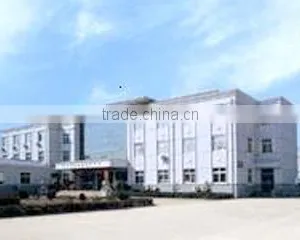 Jiangsu Lopal Tech Co., Ltd. company overview - view 1 thumbnail