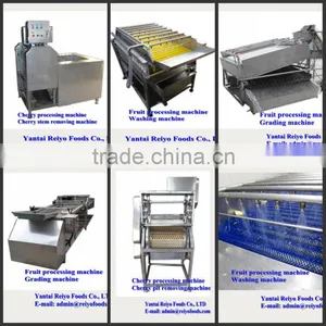 Fruits and Vegetables Processing Machine thumbnail-1