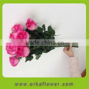 Reasonable Price Two Heads Autumn Stem Fresh Rose thumbnail-2