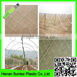 Heavy Duty Long-lasting Flexible Trellis Netting Plant Support Web thumbnail-3