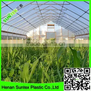 Agricultural Plastic Greenhouse Film/anti Sunheat Reflective Film/greenhouse Cover Film thumbnail-5