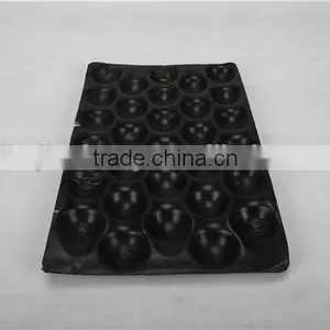 PS Plastic Fruit Tray thumbnail-3