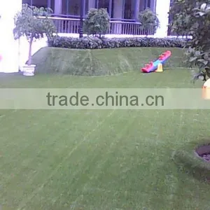 Artificial Turf Grass Carpet/Mat thumbnail-1