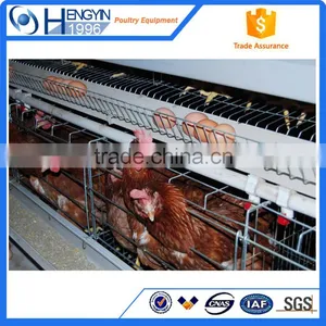 Popular Selling Layer Cage Chicken Cage Layer Cages for Sale thumbnail-2