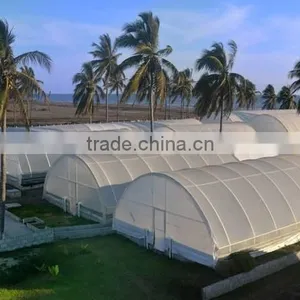 Greenhouse Film thumbnail-1