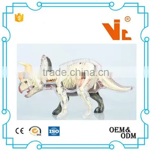V-AM054 4D MASTER Triceratops Dinosaur Specimens Anatomical Model thumbnail-4