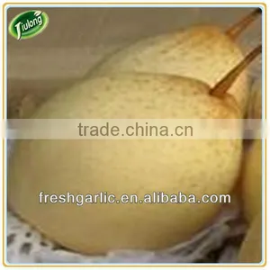 Fresh Fruit Ya Pear thumbnail-1