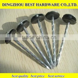 Twist Shank Roofing Nail thumbnail-2