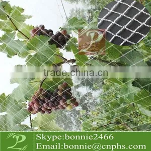 Vineyard Bird Netting for Protect Grape thumbnail-1