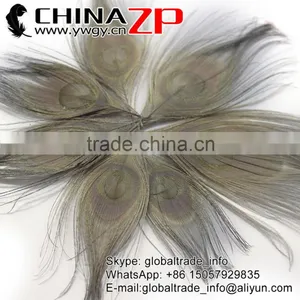 No.1 Supplier ZPDECOR Wholesale Selected Prime Quality Dyed Grey Trimmed Short Peacock Feathers for Decoration thumbnail-1