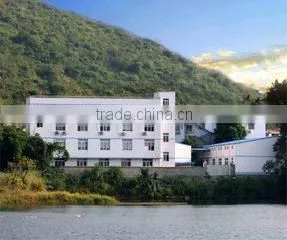 Bamboo Forever Co., Ltd. company overview - view 1 thumbnail