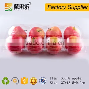 Best Price Plastic Transparent 8 Apple Box thumbnail-3
