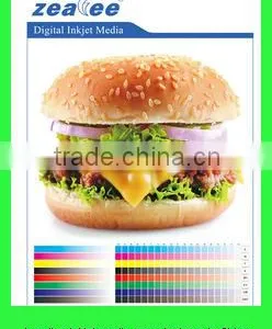 China Shanghai Supplier Factory Price Digital Printing Banner Indoor and Outdoor Digital Inkjet Composite Media thumbnail-2