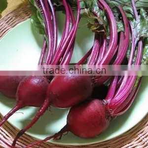 Canned Beetroot Dices A10 thumbnail-6